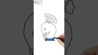 Peacock Vector: A Whiteboard Tutorial  #art #digitalarttips #digitalillustration #drawing