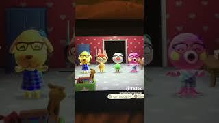 Goldie, Felicity, Piper and Marina are the Dancing Queen #shorts