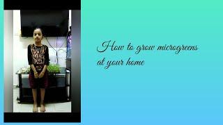 How to grow microgreens at your home. Try it !