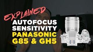 Panasonic G85 & GH5 Autofocus Sensitivity Explained