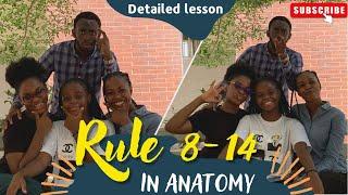Any idea of RULE 8 to RULE 14 in Anatomy? Leave your contribution on the comment box