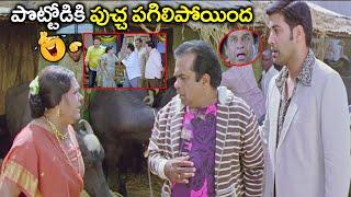 Brahmanandam Non Stop Back to Back Hilarious Comedy Scenes | Telugu Latest Evergreen comedy Scenes