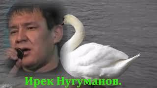 Ялгыз аккош....Ирек Нугуманов.