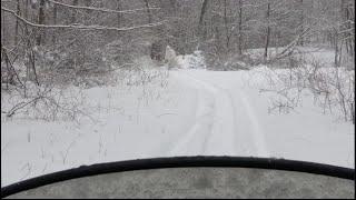 YETI ENCOUNTER - CAPTURED ON VIDEO