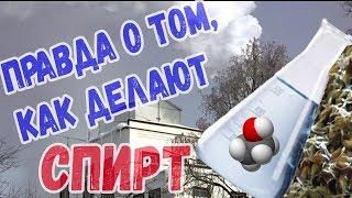 Правда о том, как делают спирт