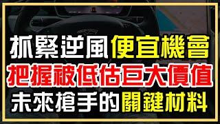 營收創新高，股價卻遲遲上不去？抓緊逆風機會，滲透率看漲！公司正迎來重要的轉機【Claire】