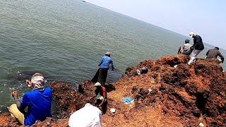 ഏരിയും ചെമ്പല്ലിയും100%റിസൾട്ട്‌ ഉള്ള ബൈറ്റ്Village Fishing, Traditional Fishing,Kerala Fishingtips