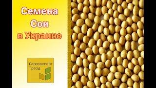 Семена Сои  купить в Украине  от Агроэксперт Трейд