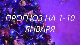 ТЕЛЕЦ. ПРОГНОЗ НА 1-10 ЯНВАРЯ 2020 года