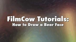 FilmCow Tutorials: How to Draw a Bear Face