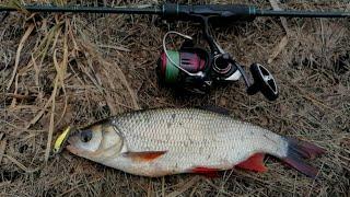 ЛОВЛЯ ЯЗЯ НА СПИННИНГ В АПРЕЛЕ !!!! ZipBaits Rigge 35   #Язь #ЯЗЬ Наспиннинг  #ZipBaits Rigge 35