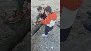 Elif poyraz #keşfet #shorst #poyrazelif