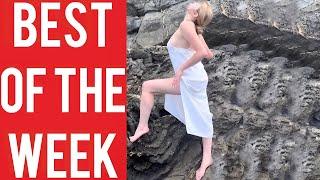 Girl and Seagull Fail and other funny videos! || Best fails of the week! || June 2024!