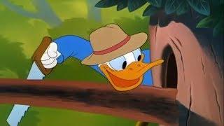 ᴴᴰ Pato Donald y Chip y Dale dibujos animados - Pluto, Mickey Mouse Episodios Completos Nuevo 2019