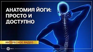 Анатомия йоги. Пол Грилли. Часть 1