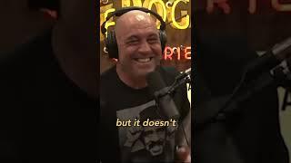 Tim Dillon and Joe Rogan ROAST ‘The View’ Libs