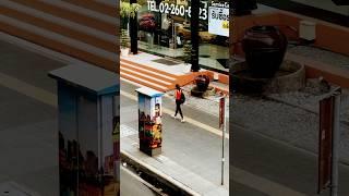 People of Bangkok: Lonely Lady #shorts #bangkok #thailand