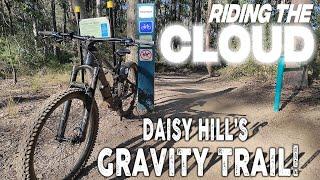 Brand New FLYING CLOUD // Daisy Hill's GRAVITY TRAIL