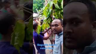 bagordia korom porob | vasan time 2022