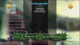 CyberKingy v7.0.1 Final || MW2 || *OLD* || ( French Patch )