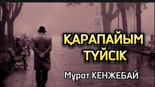 ҚАРАПАЙЫМ ТҮЙСІК