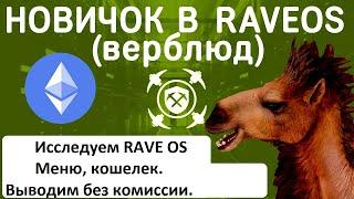 Исследуем RAVE OS, настройки рига и кошелька без комиссии.