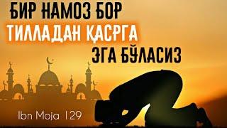 Ибн можа сунани шарҳи: 129-дарс: Зуҳо намози? Истихора намози? Ҳожат намози? Шайх Абдуллоҳ Зуфар