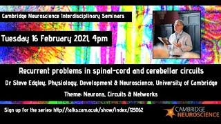 Cambridge Neuroscience - Dr Steve Edgley - Recurrent problems in spinal-cord and cerebellar circuits