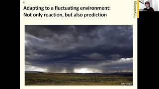 The fluctuation statistics of a changing environment as a force shaping community assembly