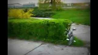 Jackass - Živý plot 01