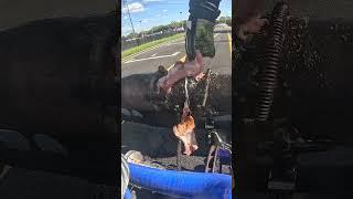 Cooking Bacon & Eggs on a Go-Kart  #Shorts