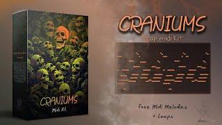 [FREE] TRAP MIDI KIT "CRANIUMS" trap midi files + loops