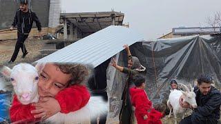 "From Sunshine to Storm! ️️️ Goats Play While Hamid’s Family Faces Heavy Rain ️"