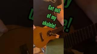 Python steals my uke! (Riddle: when does a Banjo fit into an ukulele?)