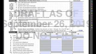 IRS Form 1120S Free Software, S Corporation Tax Return