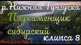 Русская Рыбалка 4 Где Клюет р Нижняя Тунгуска Подкаменщик 14 03 23