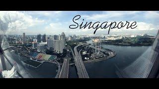 Singapore city tour. Сингапур обзорная экскурсия.