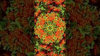 Satisfying Kaleidoscope Effect Amazing Delicious Berries  #kaleidoscope #satisfying #shorts