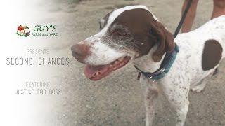 Second Chances: Justice For Dogs