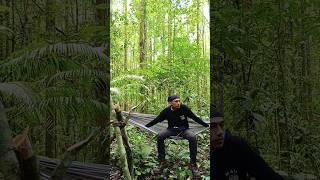 Anugrah alam Indonesia #survivalalam #hiking #nature #trending