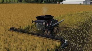 Farmersburg Ep#19 | Harvest | FS19 Timelapse | Farming Simulator 19 Timelapse