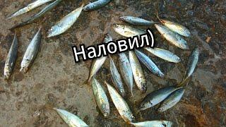 Самодур или пилькер на что лучше ловить саргана и ставриду/ fishing in the Black sea,Ukrane Odessa