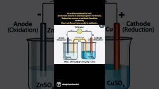 Redox reaction || electrochemical cell #electrochemistry #shorts #creatingforindia