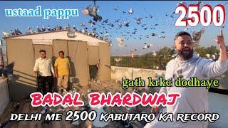 2500 kabutar badal bhai ka shok  ustaad pappu ne gath krke dodhaye  delhi ki kabutarbazi