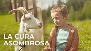 La cura asombrosa | Peliculas Completas en Español Latino