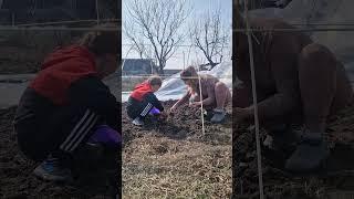 #парниксвоїмируками #композитнаарматура #село #жизньвселе #життявселі