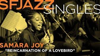 SFJAZZ Singles: Samara Joy performs “Reincarnation of a Lovebird”