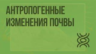 Антропогенные изменения почвы. Видеоурок по биологии 11 класс