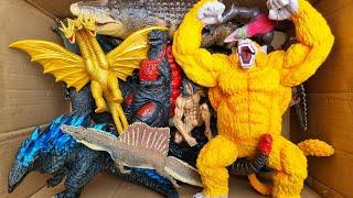 Godzilla vs Kong Toy/Godzilla Action Figure/Unboxing Godzilla Toy/Godzilla Toys Movie 28