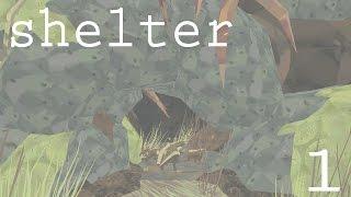 EMERGING FROM THE DEN || SHELTER - Episode #1